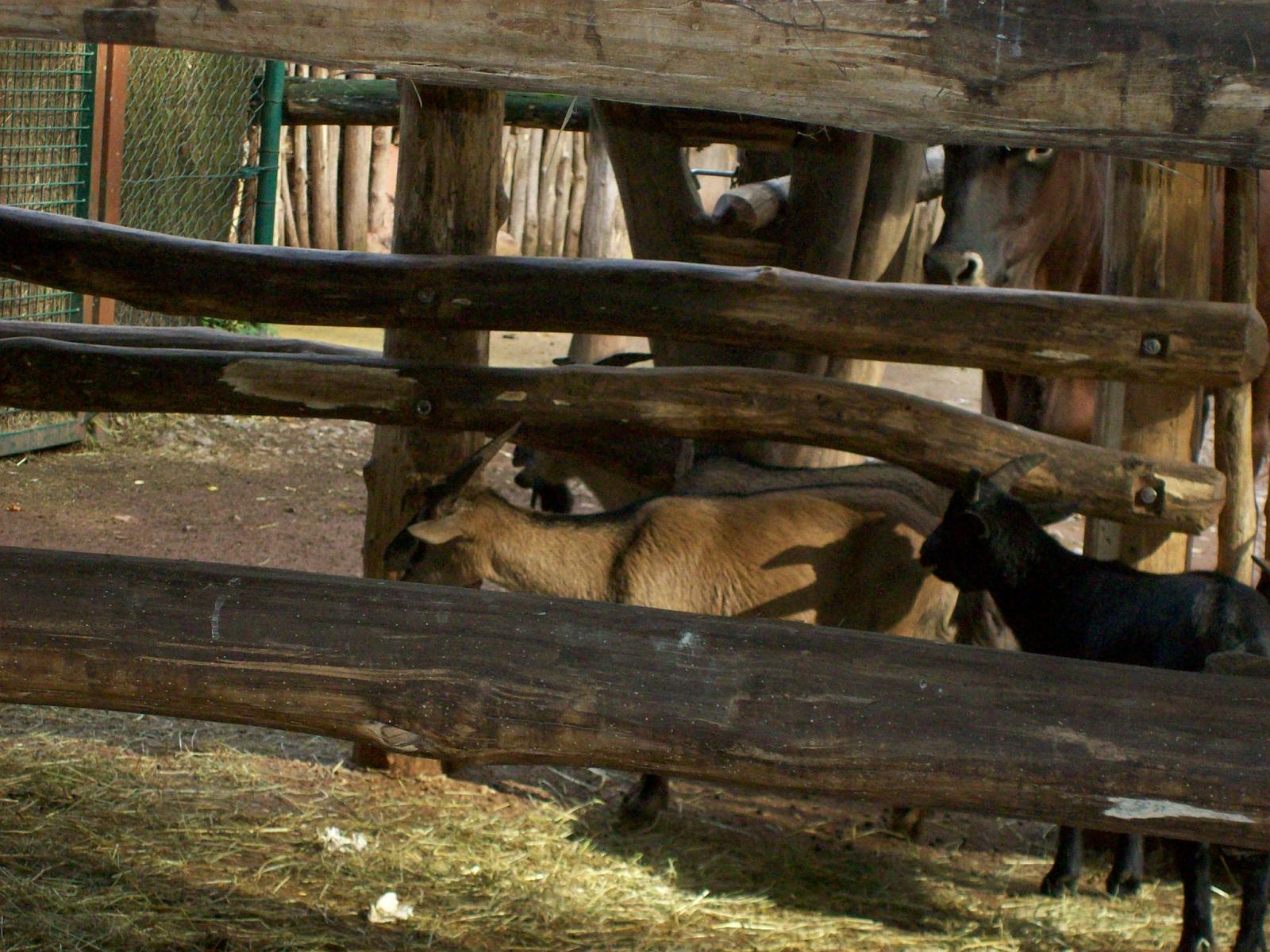 Zoom 18.10.2008-034.jpg